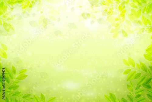 green leaves background © anon
