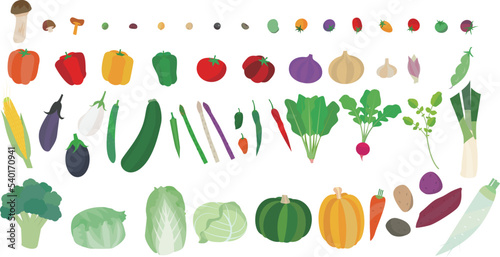 野菜のベクターイラスト