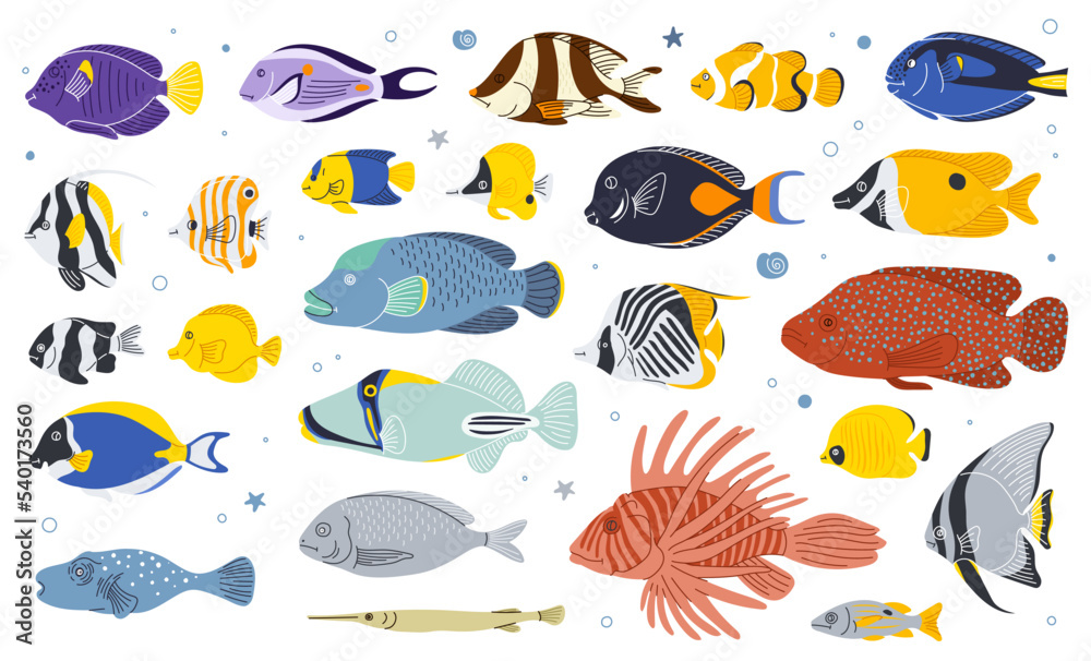 Sea fish vector cartoon icon.Tropical  ocean underwater wildlife animal set. Aquarium fishes flat isolated illustration. - obrazy, fototapety, plakaty 
