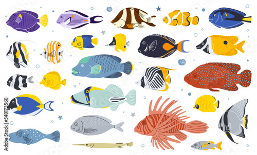 Sea fish vector cartoon icon.Tropical  ocean underwater wildlife animal set. Aquarium fishes flat isolated illustration.