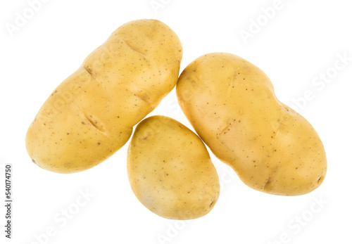 potato isolated on white background.( top view )