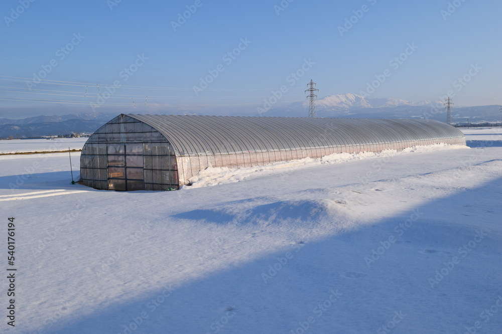 豪雪地方のビニールハウス 豪雪地方のビニールハウス