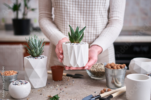 Woman holding Potted Succulent haworthia Plant in White ceramic Pot
