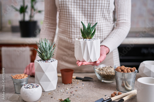 Woman holding Potted Succulent haworthia Plant in White ceramic Pot photo
