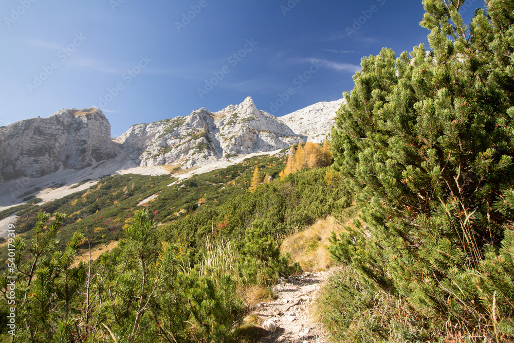 landscape in the mountains