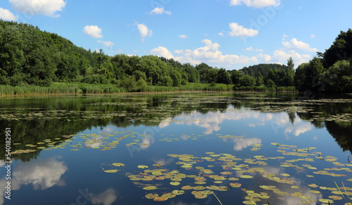 Typical Lithuanian summer landscape - a lake with water lily flowers and a forest on the shore