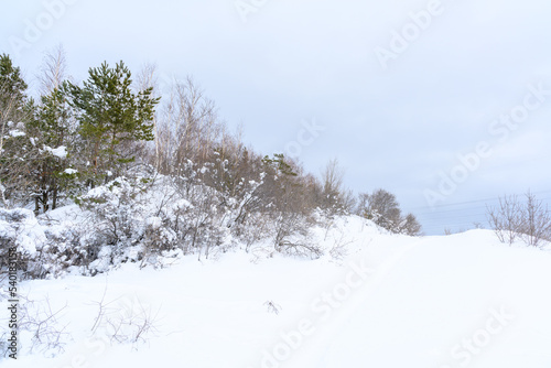 Winter christmas idyllic landscape.