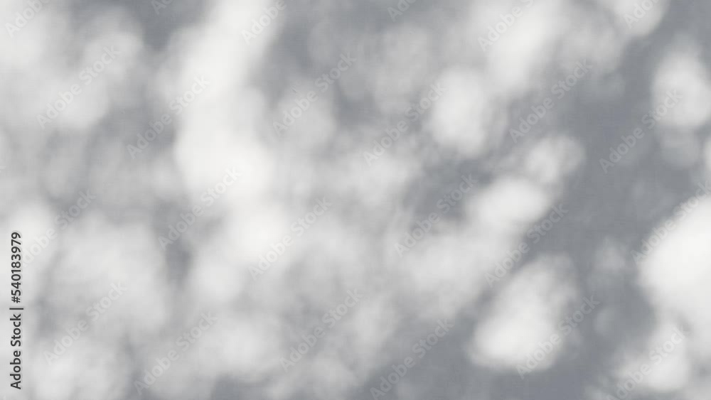 Closeup branch tree leaves silhouette shadow motion on wall, abstract background