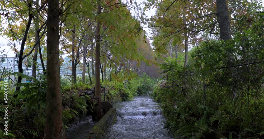 Irrigation canals with clear water flow like small streams in a forest Irrigation canals with clear water flow like small streams in a forest