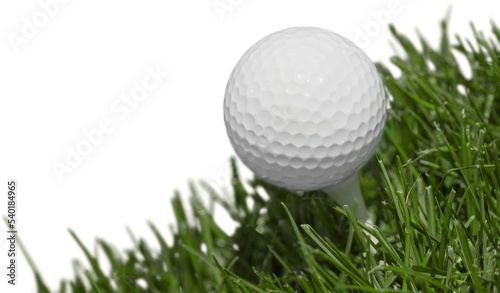 golf ball on a grass