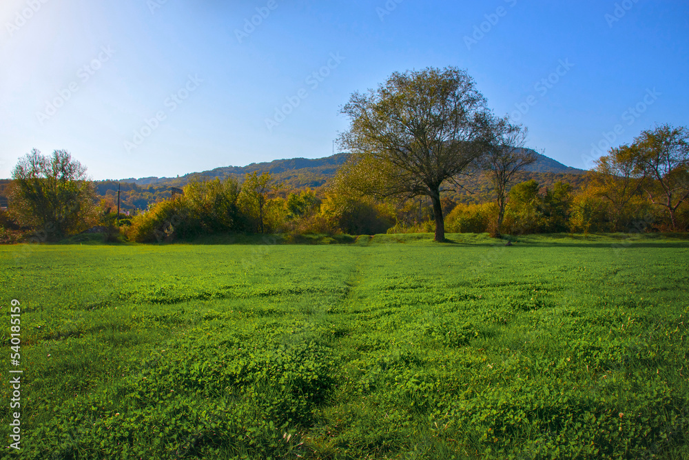 Landscape in the mountains on a sunny day with a grassy field and mountains under a blue sky. A rural landscape with a valley and a forest on a background in a bright blue sky.