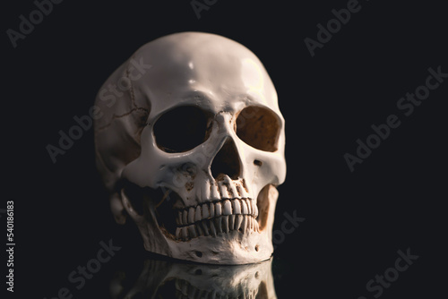 Human skull on a black background.