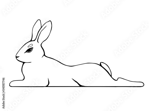 Line-drawn rabbit lies. Vector black and white illustration.