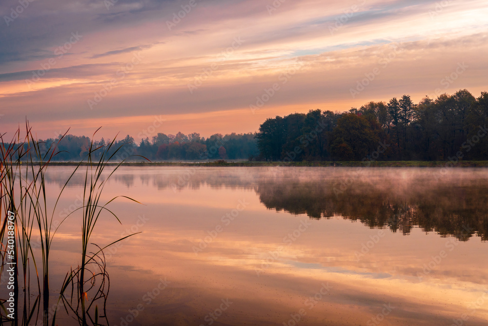 Early, misty autumn morning at the pond. Sunrise. Beautiful colorful sky reflecting in the lake. Sunrise. Grojec, Poland