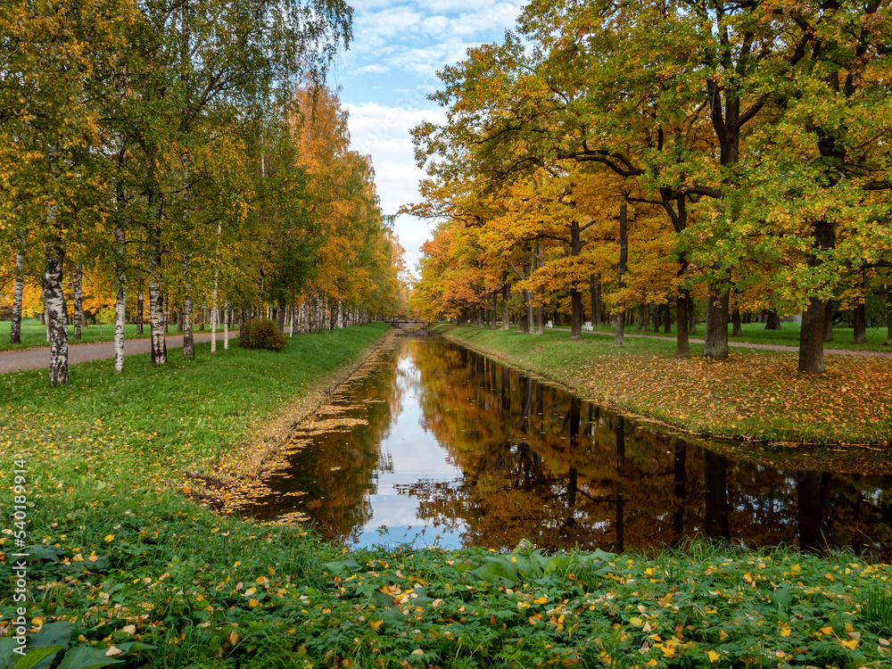 Alexander Park (Tsarskoye Selo). Autumn maples along the banks of the Krestovy Canal.