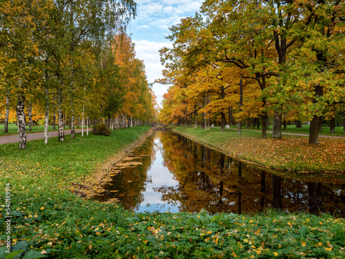 Alexander Park (Tsarskoye Selo). Autumn maples along the banks of the Krestovy Canal.