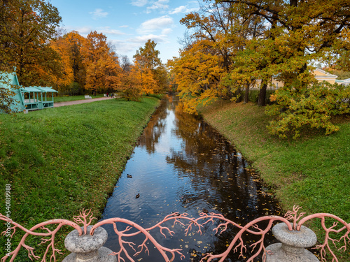 Alexander Park (Tsarskoye Selo). Autumn maples along the banks of the Krestovy Canal. photo