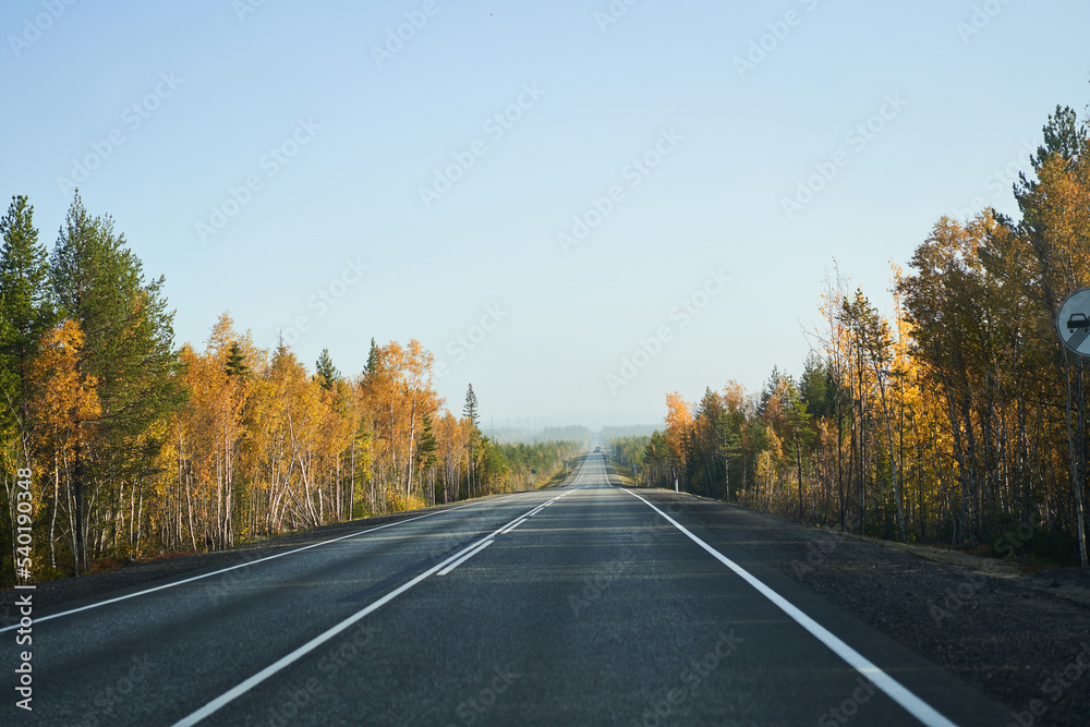 Highway through the autumn forest. Autumn forest highway Highway through the autumn forest. Autumn forest highway