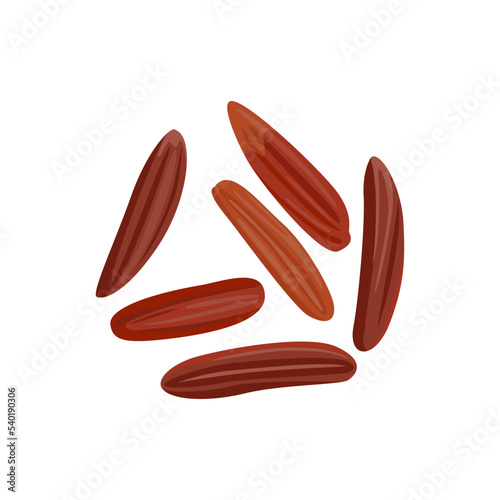 Red rice isolated on white background. Vector illustration of rice seed. Food icon.