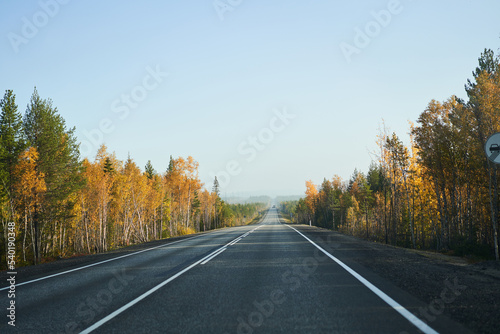 Highway through the autumn forest. Autumn forest highway