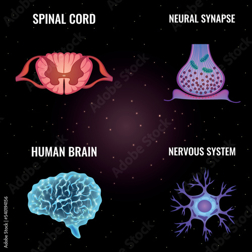 Neurology elements flat vector collection set