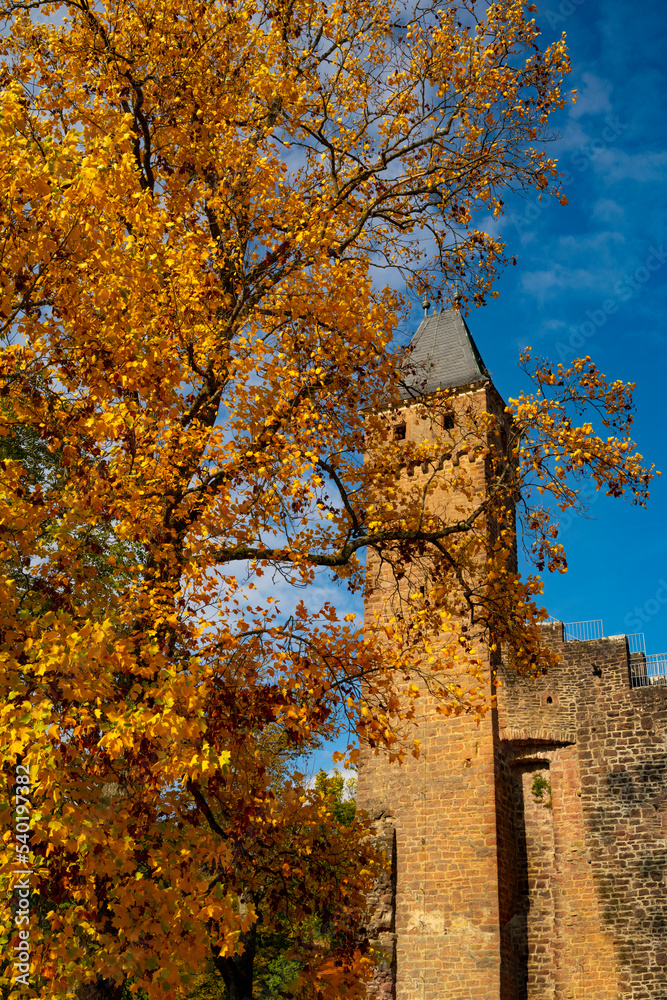 Hirschhorn Castle a ruined castle on the Neckar