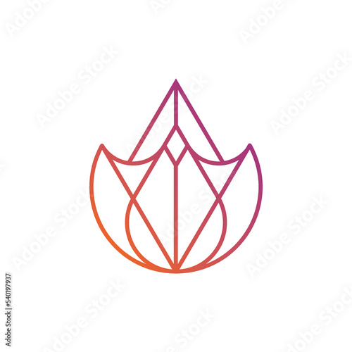 a flower logo that is made a little abstract is suitable for wealth and wellnes purposes