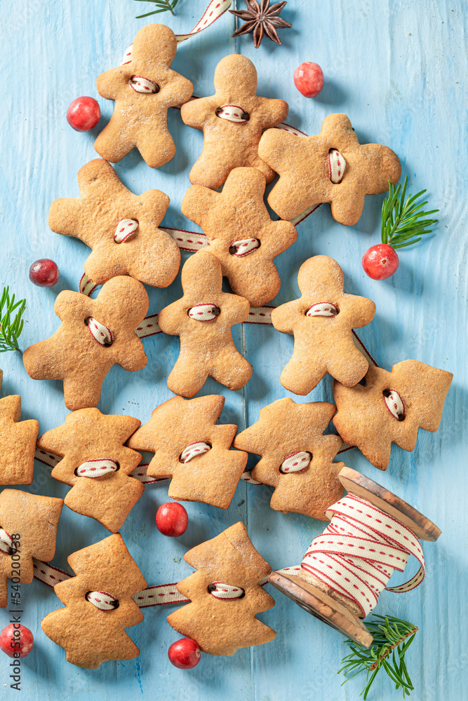 Handmade gingerbread cookies chain as Christmas ornaments. Handmade gingerbread cookies chain as Christmas ornaments.