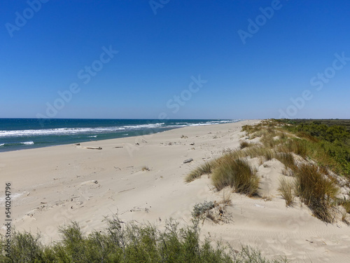The dunes of the beach of Piemanson in Camargue. Azure blue sky on a Mistral wind day.