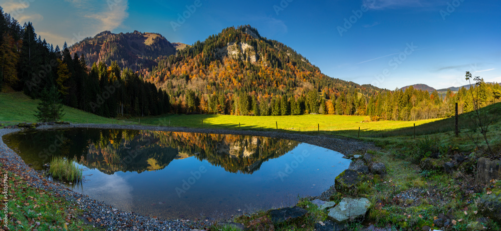 Obraz premium ein Teich bei der Alpe Krähenberg, Sibratsgfäll, in dem sich der herbstlich gefärbte Bergwald spiegelt. blauer, wolkenloser Himmel über buntem Wald im Herbst