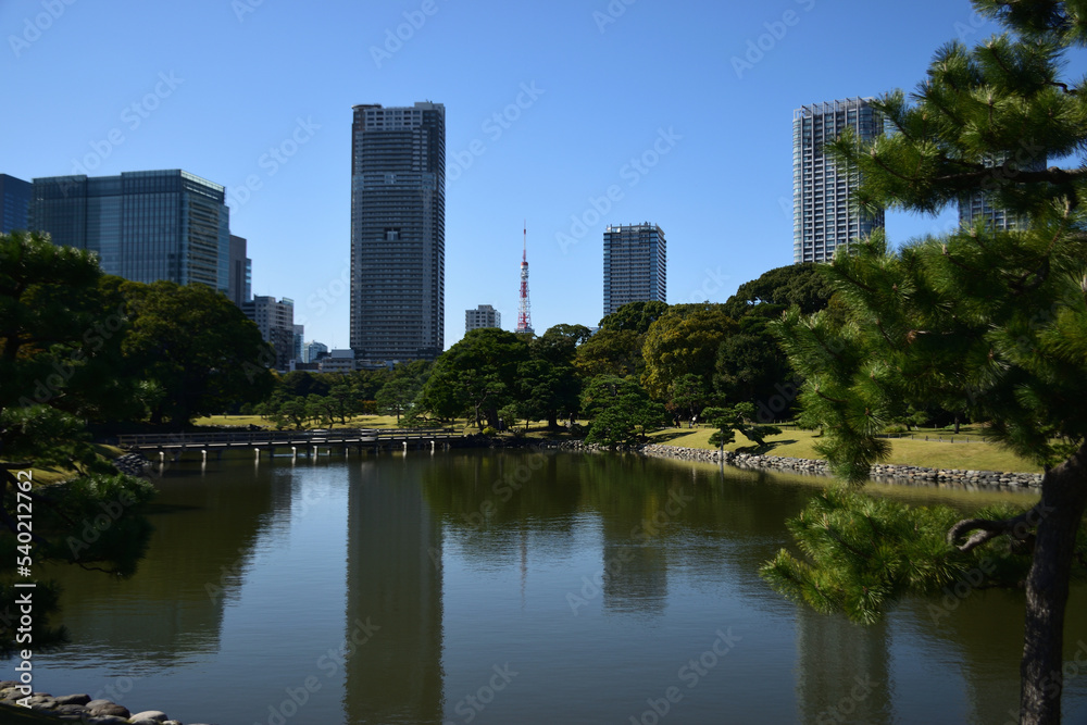 美しい景色が広がる浜離宮庭園