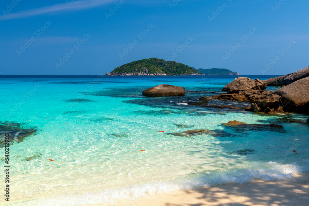 Fototapeta premium The beach