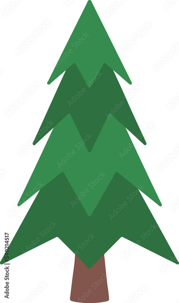 Obraz premium Spruce Tree Watercolor 