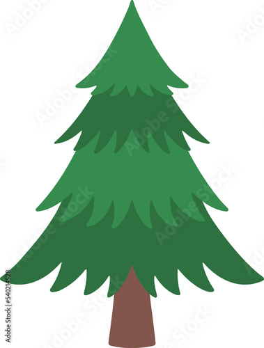 Winter Spruce Tree Watercolor 