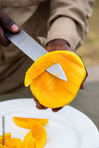 African man, black man hands holding and slicing fresh mango fruit, Rwandan man