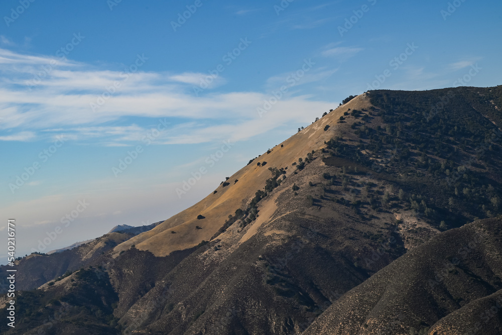 Naklejka premium Figueroa Mountain, Los Padres National Forest
