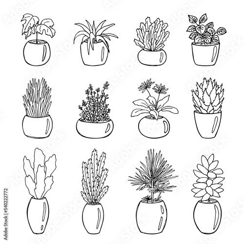 Cute hand drawn houseplant in a pot clipart. Plant illustration. Cozy home doodle set