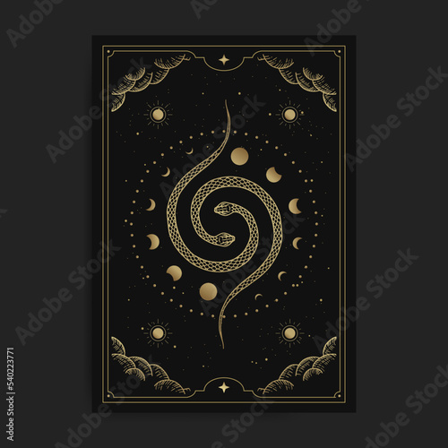Symbol of two snakes with moon phase in universe