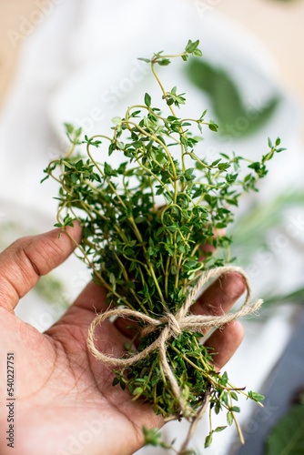 African American woman hand holding a bundle of fresh thyme tied with a jute rope bow
