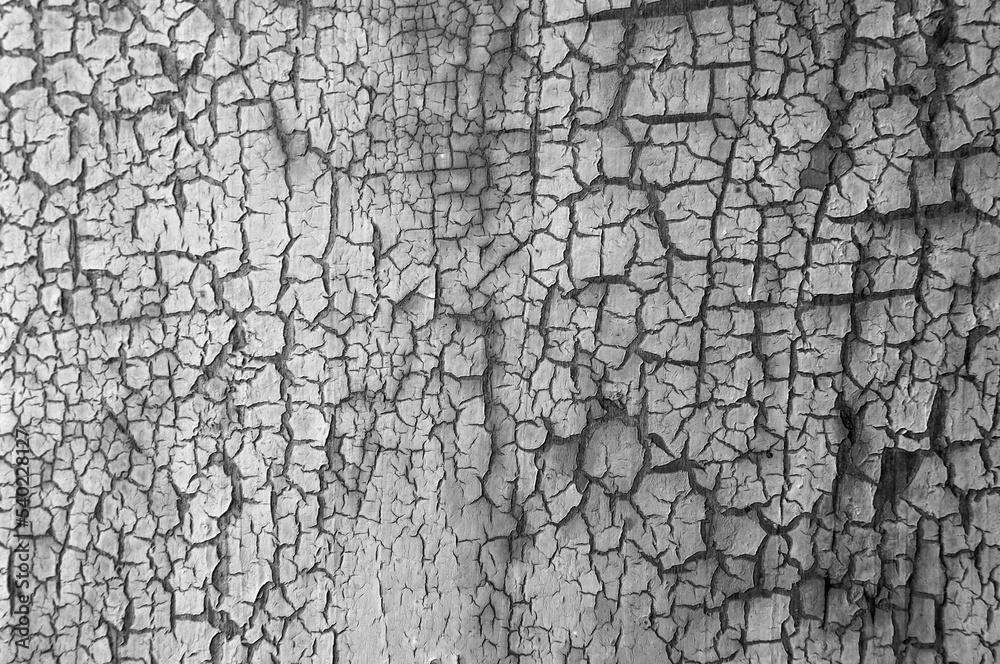 Background from wooden old boards with cracked paint. Vintage green fence texture as abstract background. Craquelure cracks. Background from wooden old boards with cracked paint. Vintage green fence texture as abstract background. Craquelure cracks.
