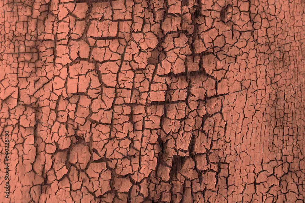 Background from wooden old boards with cracked paint. Vintage green fence texture as abstract background. Craquelure cracks. Background from wooden old boards with cracked paint. Vintage green fence texture as abstract background. Craquelure cracks.
