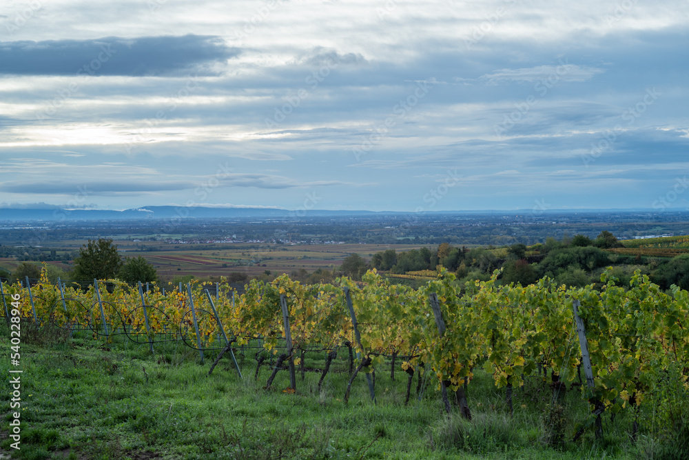 weiberge im herbst