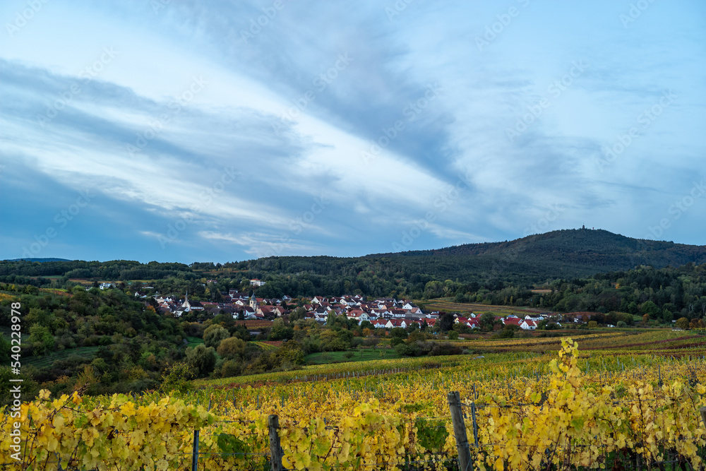 village and vineyard before sunrise