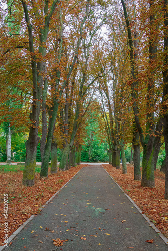 Sotillo Park and Orchard of the Bishop in Palencia. Spain photo