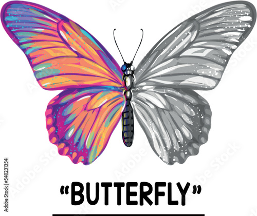 Set of butterflies. Butterfly isolated on white. Half of its wings are a mixture of blue, green, orange and red, while the other half is black/white and gray.