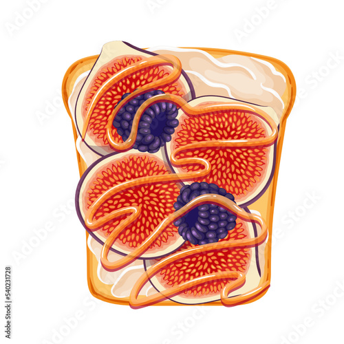 Fig toast vector illustration. Cartoon healthy food for breakfast, isolated sandwich with toasted slice of bread, sliced fresh figs, cream cheese and honey, top view of bruschetta with ricotta