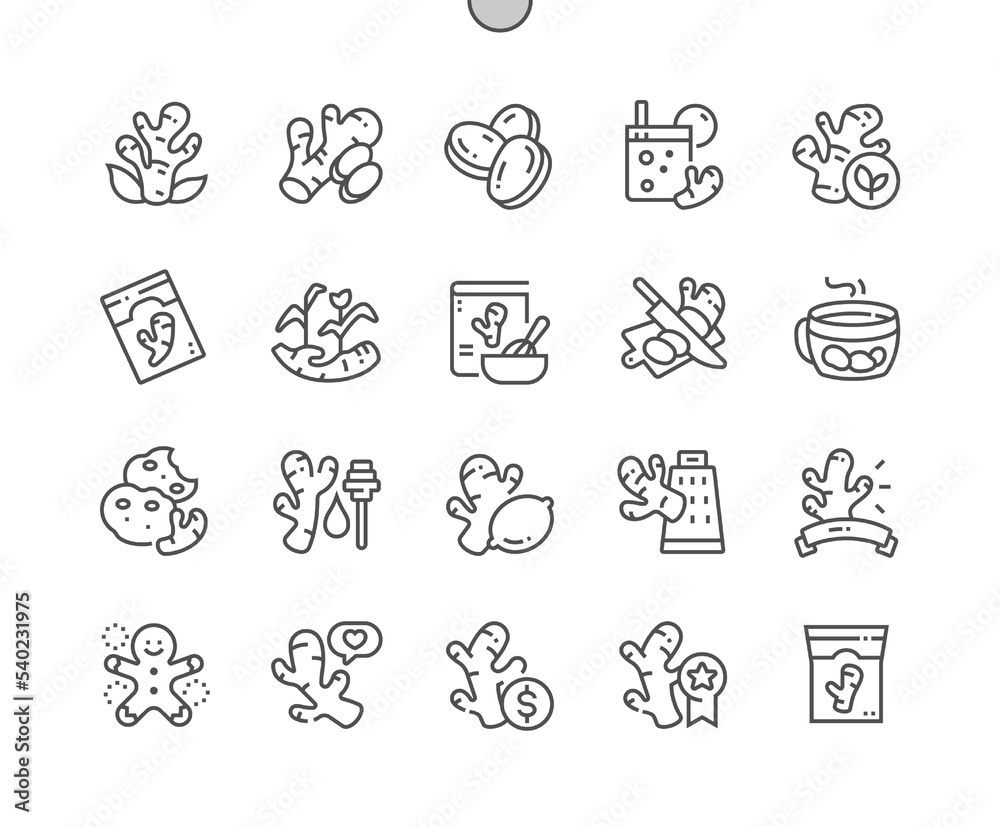 Ginger root. Vegetable. Fresh ingredient for cooking, healthy spice for drink. Food shop, supermarket. Pixel Perfect Vector Thin Line Icons. Simple Minimal Pictogram.