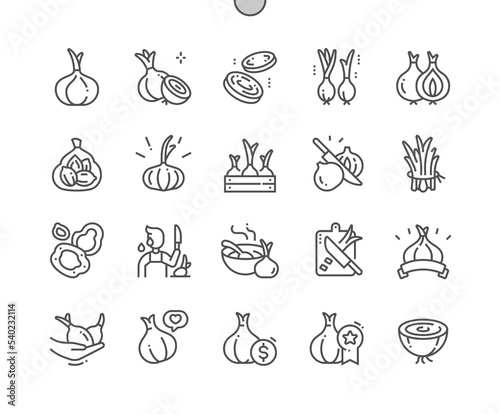 Onion. Fresh vegetable ingredient for cooking. Food shop, supermarket. Slice and whole of onion. Pixel Perfect Vector Thin Line Icons. Simple Minimal Pictogram.