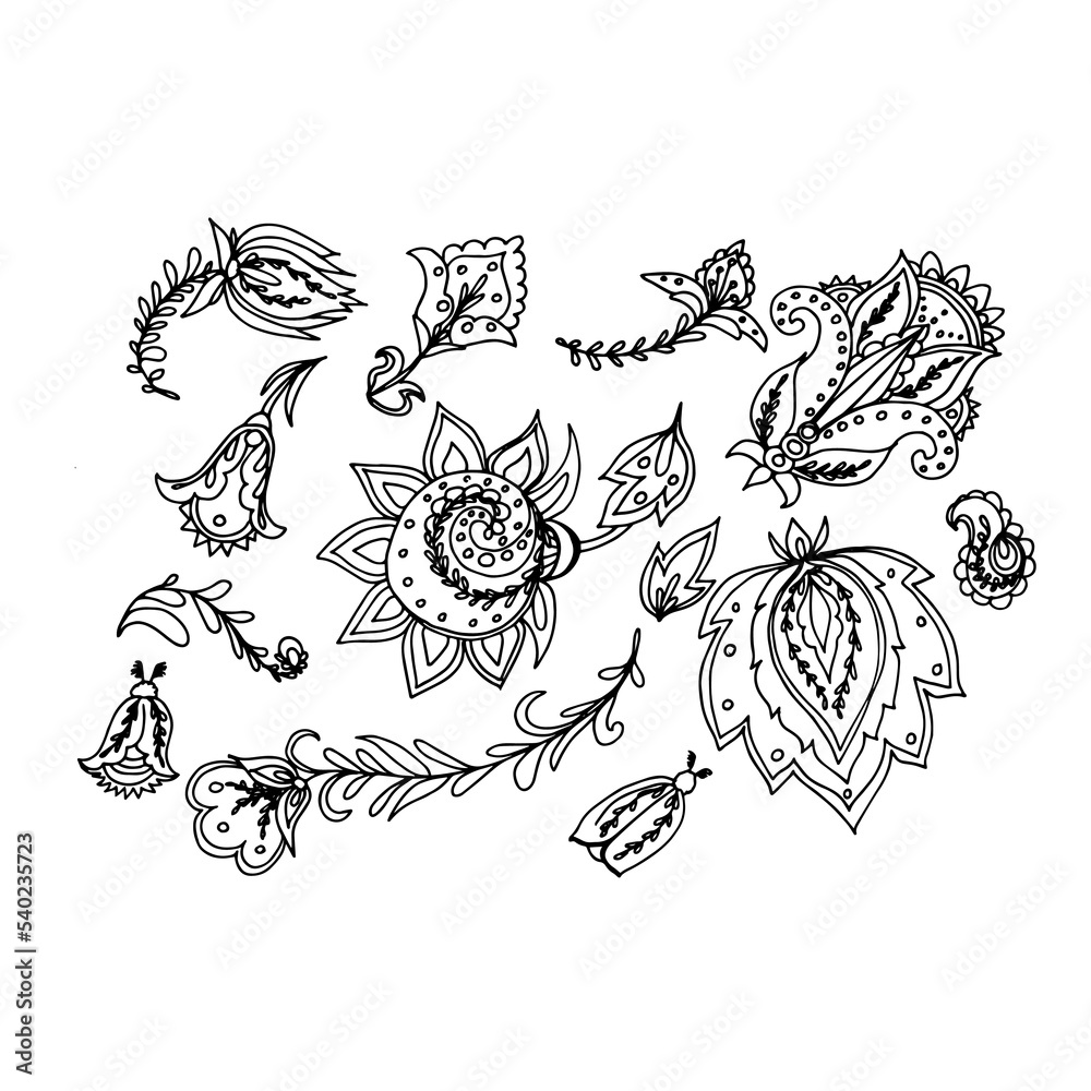 Obraz premium Set of elements for the design of botanical illustration. Black and white drawing.
