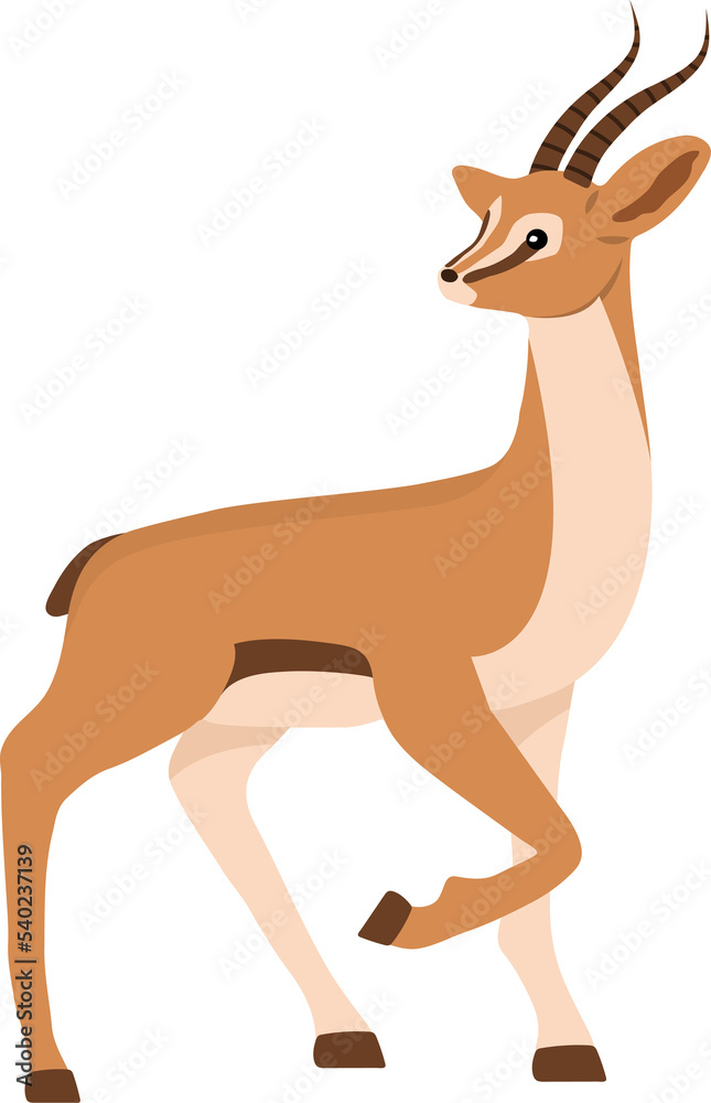 Fototapeta premium Cute african antelope. Gazelle with horns on white background. Mammal animal. Vector illustration in flat cartoon style.